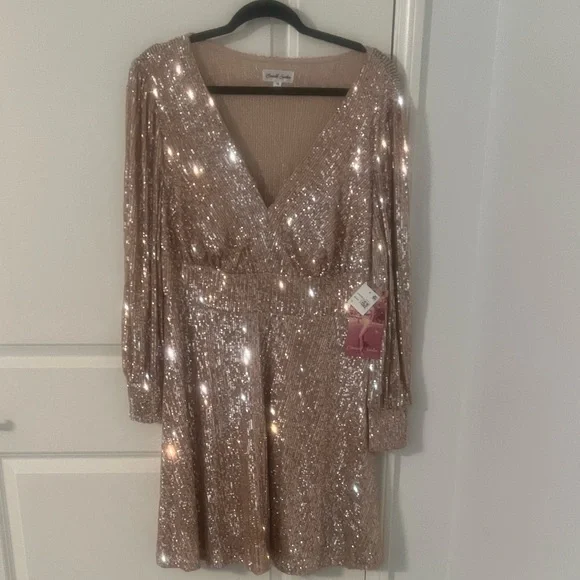 Emerald Sundae Rose Gold Sequin Dress - Picture 3 of 6